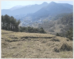  2025Ÿ30655 泲 ر   535-1      (Ӿ)