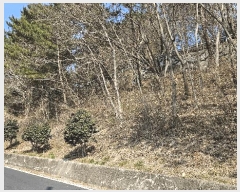  2025Ÿ30655 泲 ر   535-1      (Ӿ)