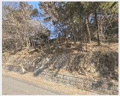  2025Ÿ30655 泲 ر   535-1      (Ӿ)