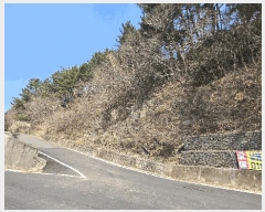  2025Ÿ30655 泲 ر   535-1      (Ӿ)