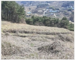  2025Ÿ30655 泲 ر   535-1      (Ӿ)