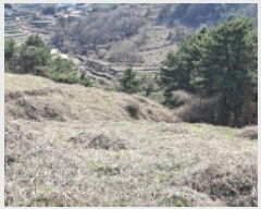  2025Ÿ30655 泲 ر   535-1      (Ӿ)