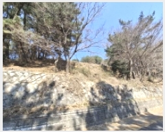  2025Ÿ30655 泲 ر   535-1      (Ӿ)