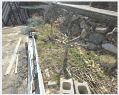  2025Ÿ��30688  ���ð��