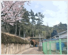  2025Ÿ��30694 �泲 ��õ�� ������ ���踮 ��75-1      ����(�Ӿ�)���