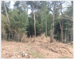  2025Ÿ��30694 �泲 ��õ�� ������ ���踮 ��75-1      ����(�Ӿ�)���