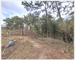  2025Ÿ��30694 �泲 ��õ�� ������ ���踮 ��75-1      ����(�Ӿ�)���