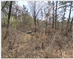  2025Ÿ��30694 �泲 ��õ�� ������ ���踮 ��75-1      ����(�Ӿ�)���