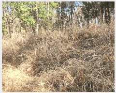  2025Ÿ��30703  �Ӿ߰��