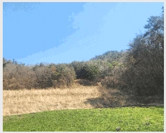  2025Ÿ��30703  �Ӿ߰��