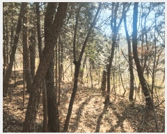  2025Ÿ��30703  �Ӿ߰��