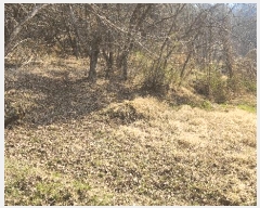  2025Ÿ��30703  �Ӿ߰��