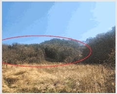  2025Ÿ��30703  �Ӿ߰��