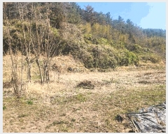  2025Ÿ��30703  �Ӿ߰��