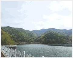  2025Ÿ��30709  �Ӿ߰��