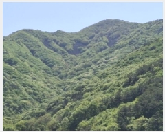  2025Ÿ��30709  �Ӿ߰��