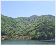  2025Ÿ��30709  �Ӿ߰��