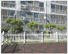  2025Ÿ��30757  ����Ʈ���