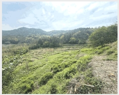  2025Ÿ��30778  ����