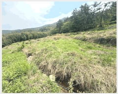  2025Ÿ��30778  ����