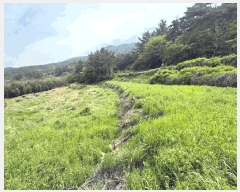  2025Ÿ��30778  ����