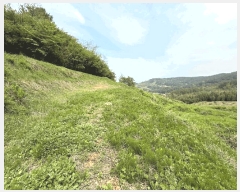  2025Ÿ��30778  ����