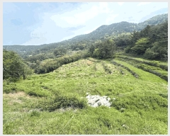  2025Ÿ��30778  ����