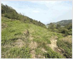  2025Ÿ��30778  ����