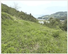  2025Ÿ��30778  ����