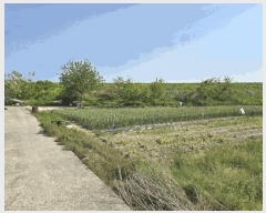  2025Ÿ��30796  ����