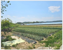  2025Ÿ��30796  ����