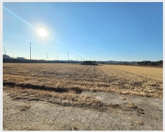  2025Ÿ��50  ����