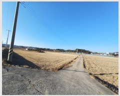  2025Ÿ��50  ����