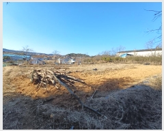  2025Ÿ��50  ����