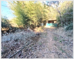  2025Ÿ��50  ����