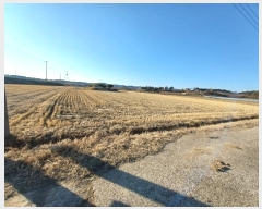  2025Ÿ��50  ����