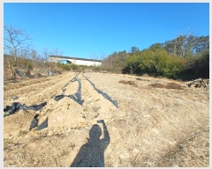  2025Ÿ��50  ����