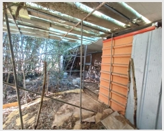  2025Ÿ��50  ����