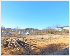  2025Ÿ��50  ����