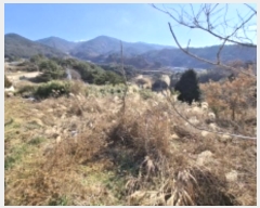  2025Ÿ��128  �����