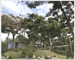  2025Ÿ��180 �泲 ��õ�� ������ ���� 1273-20      �ܵ�����,�����ð��