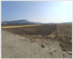  2025Ÿ��333 �泲 ��õ�� �糲�� ��õ�� 218-17      ����(��)���