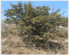  2025Ÿ��425 �泲 ��û�� �ŵ�� ��ʸ� 497-2      ����(��1)���