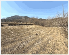  2025Ÿ��425 �泲 ��û�� �ŵ�� ��ʸ� 497-2      ����(��1)���