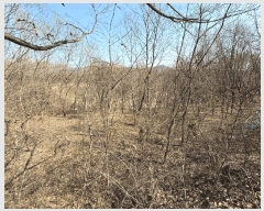  2025Ÿ��425 �泲 ��û�� �ŵ�� ��ʸ� 497-2      ����(��1)���