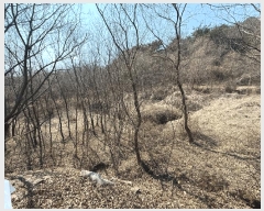  2025Ÿ��425 �泲 ��û�� �ŵ�� ��ʸ� 497-2      ����(��1)���