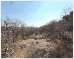  2025Ÿ��425 �泲 ��û�� �ŵ�� ��ʸ� 497-2      ����(��1)���