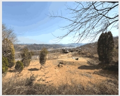  2025Ÿ��425 �泲 ��û�� �ŵ�� ��ʸ� 497-2      ����(��1)���