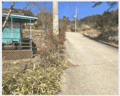  2025Ÿ��502  �Ӿ߰��