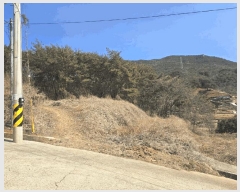  2025Ÿ��502  �Ӿ߰��